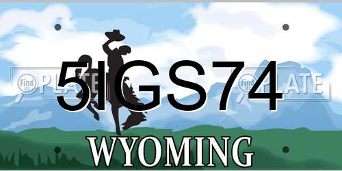 5IGS74 Wyoming License Plate