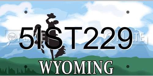 5IST229 Wyoming License Plate