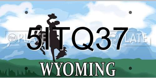 5ITQ37 Wyoming License Plate