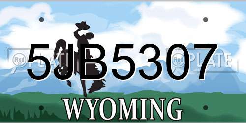 5JB5307 Wyoming License Plate