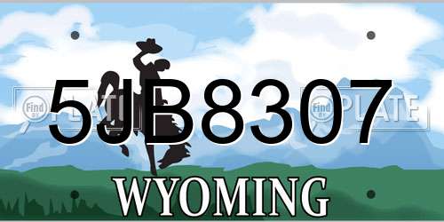 5JB8307 Wyoming License Plate