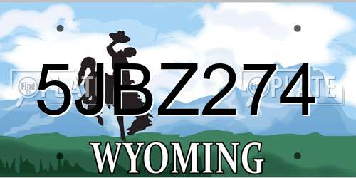 5JBZ274 Wyoming License Plate