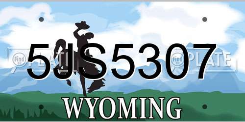 5JS5307 Wyoming License Plate