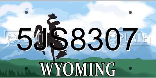 5JS8307 Wyoming License Plate