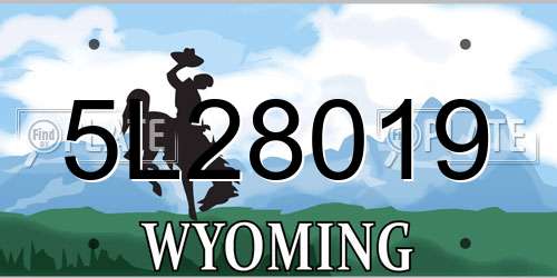 5L28019 Wyoming License Plate