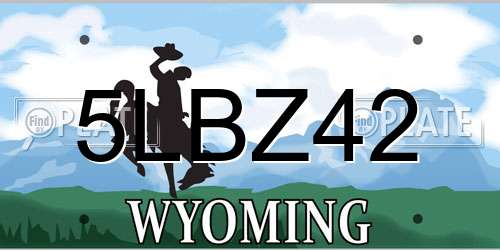 5LBZ42 Wyoming License Plate