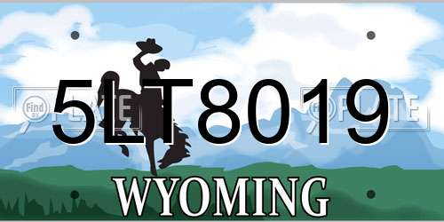 5LT8019 Wyoming License Plate