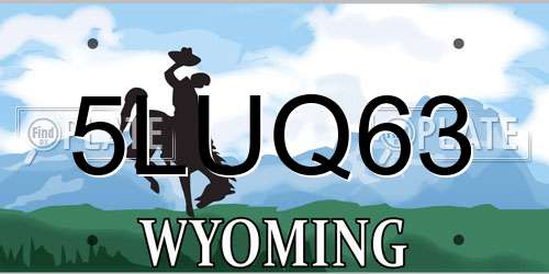 5LUQ63 Wyoming License Plate