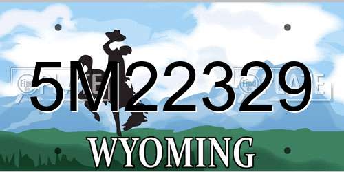 5M22329 Wyoming License Plate