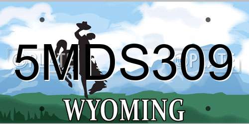 5MDS309 Wyoming License Plate