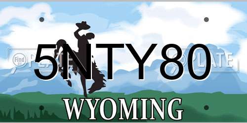 5NTY80 Wyoming License Plate