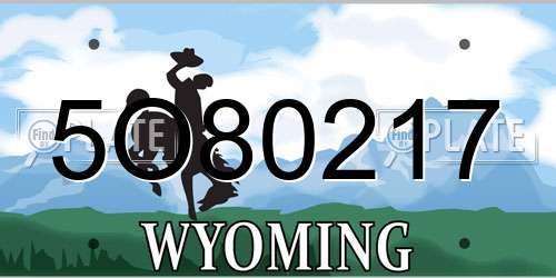 5O80217 Wyoming License Plate
