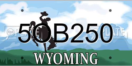 5OB250 Wyoming License Plate