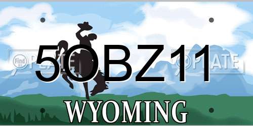5OBZ11 Wyoming License Plate