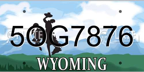 5OG7876 Wyoming License Plate