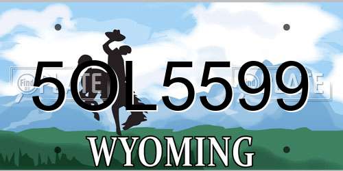 5OL5599 Wyoming License Plate