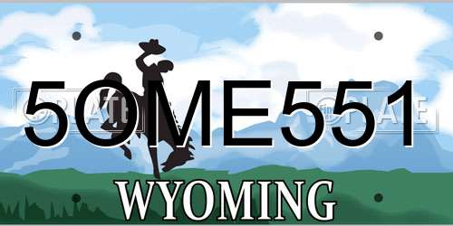 5OME551 Wyoming License Plate