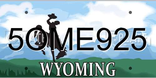 5OME925 Wyoming License Plate