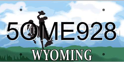 5OME928 Wyoming License Plate