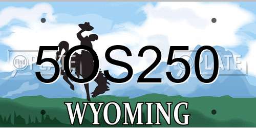5OS250 Wyoming License Plate