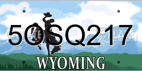 5OSQ217 Wyoming License Plate