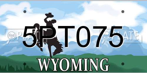 5PT075 Wyoming License Plate