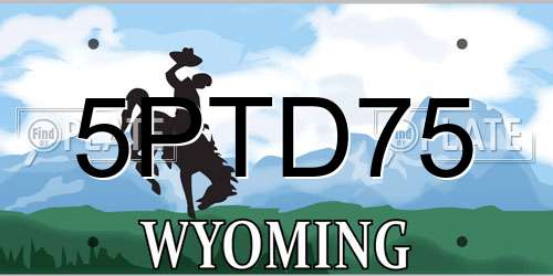 5PTD75 Wyoming License Plate