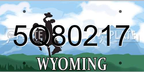 5Q80217 Wyoming License Plate