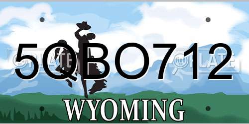 5QBO712 Wyoming License Plate