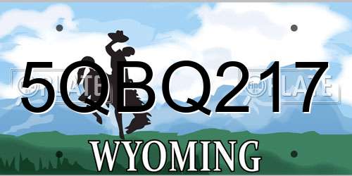 5QBQ217 Wyoming License Plate
