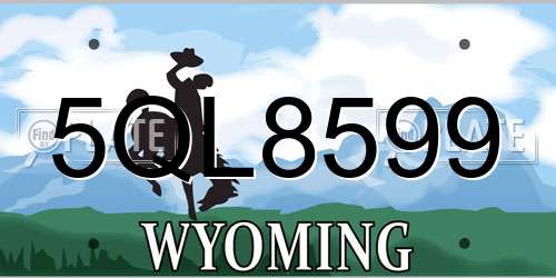 5QL8599 Wyoming License Plate