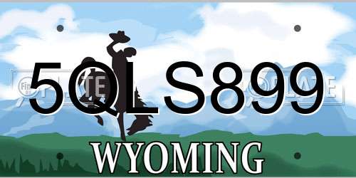 5QLS899 Wyoming License Plate