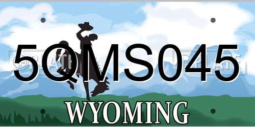 5QMS045 Wyoming License Plate