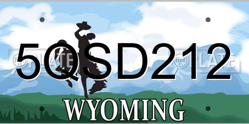 5QSD212 Wyoming License Plate