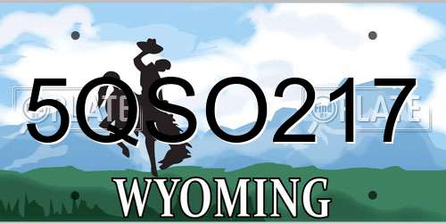 5QSO217 Wyoming License Plate
