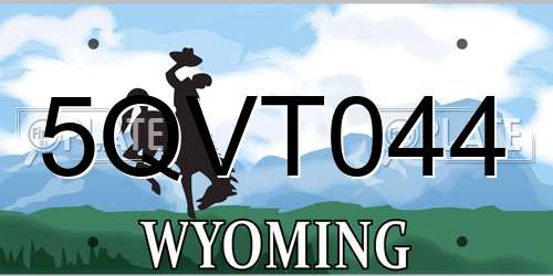 5QVT044 Wyoming License Plate