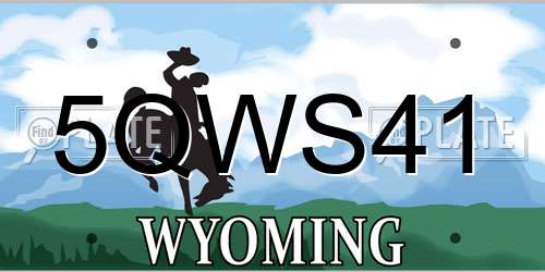 5QWS41 Wyoming License Plate
