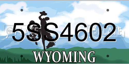 5SS4602 Wyoming License Plate