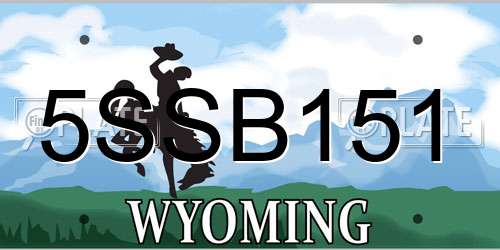 5SSB151 Wyoming License Plate