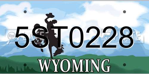 5ST0228 Wyoming License Plate