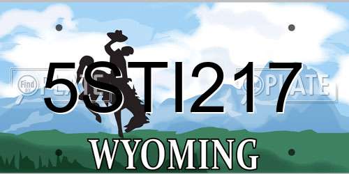 5STI217 Wyoming License Plate