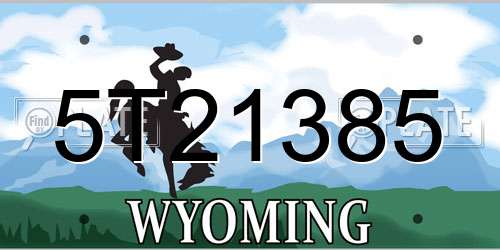 5T21385 Wyoming License Plate