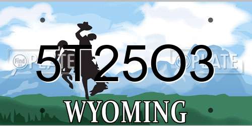 5T25O3 Wyoming License Plate