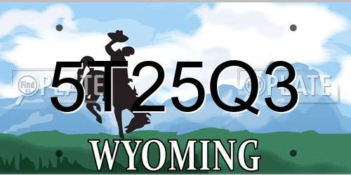 5T25Q3 Wyoming License Plate