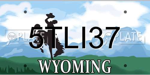 5TLI37 Wyoming License Plate