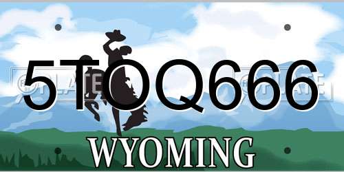 5TOQ666 Wyoming License Plate