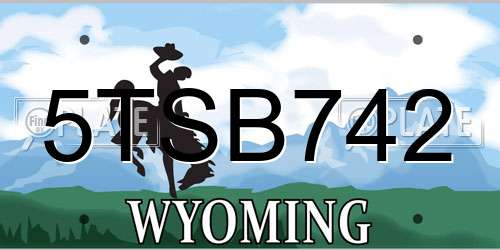 5TSB742 Wyoming License Plate