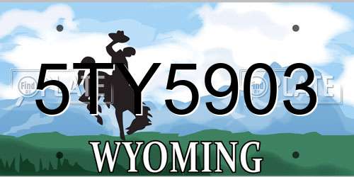 5TY5903 Wyoming License Plate