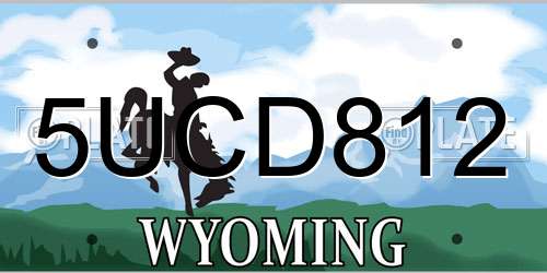 5UCD812 Wyoming License Plate