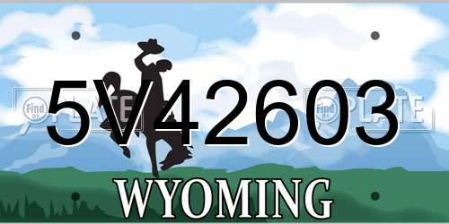 5V42603 Wyoming License Plate